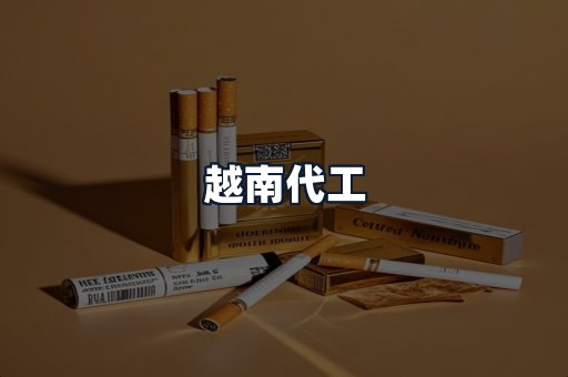 越南代工